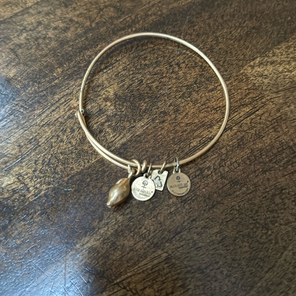 Alex and Ani Rose gold bracelet